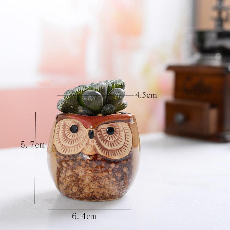 6-piece Mini Owl Pots