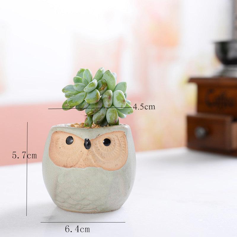 6-piece Mini Owl Pots