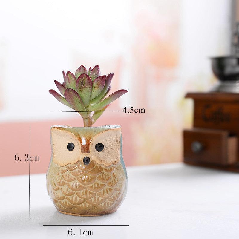 6-piece Mini Owl Pots