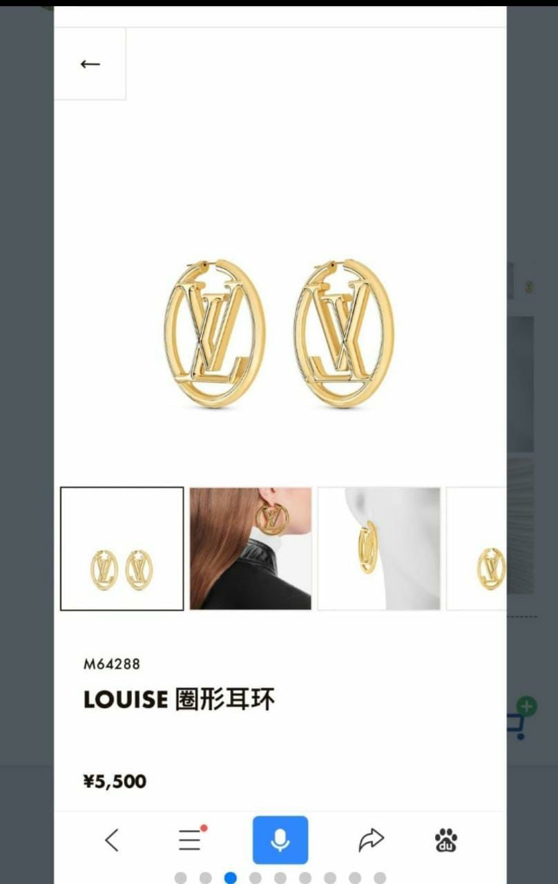LVuiton Earrings