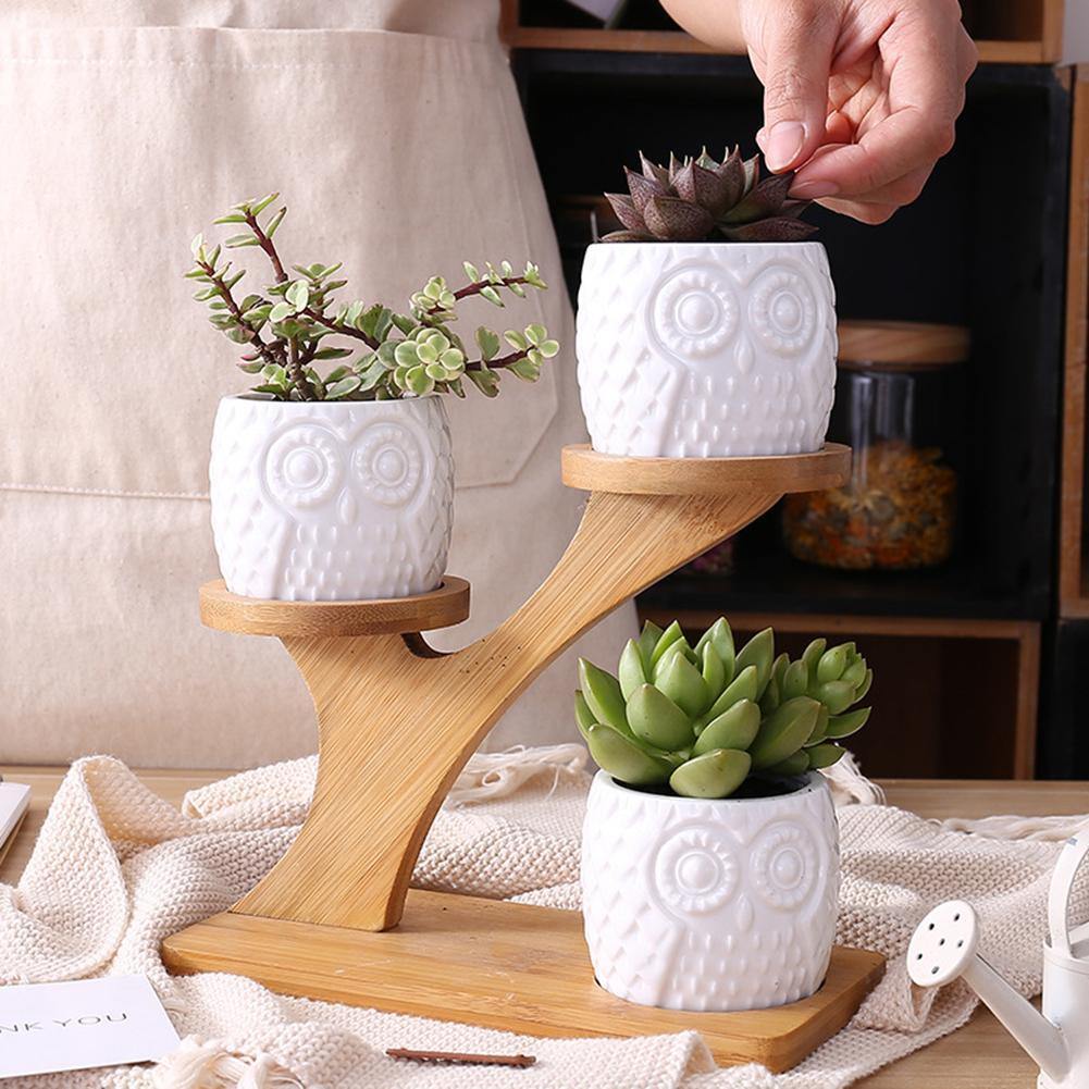 Owl Planter With Bamboo Shelf