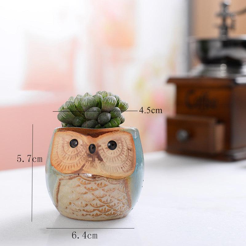 6-piece Mini Owl Pots