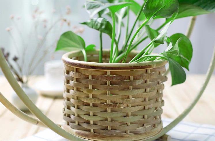 Woven Bamboo Hanging Basket Planter